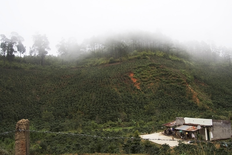 Không có tiêu đề