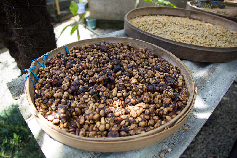 Khi con người nói về cà phê con chồn  PrimeCoffee