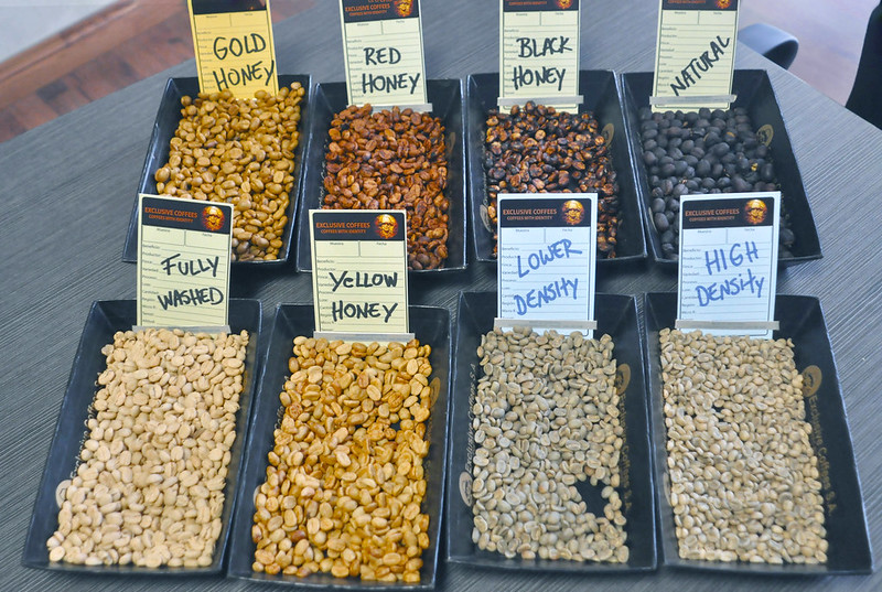 Kỹ thuật chế biến mật ong (chế biến bán ướt) trên cà phê | PrimeCoffee