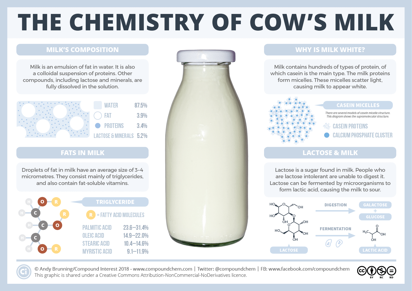 Infographic thành phần hóa học của sữa bò